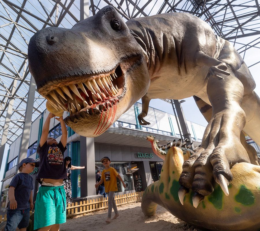 Dinos